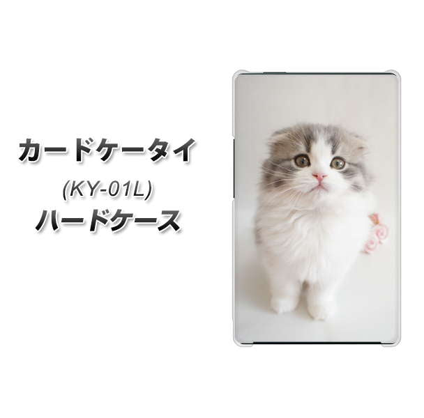 docomo カードケータイ KY-01 高画質仕上げ 背面印刷 ハードケース【VA803 まっていますネコ】