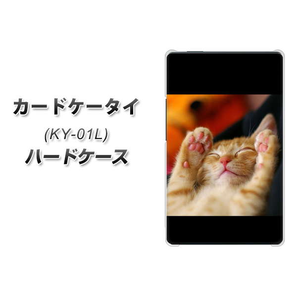 docomo カードケータイ KY-01 高画質仕上げ 背面印刷 ハードケース【VA804 爆睡するネコ】