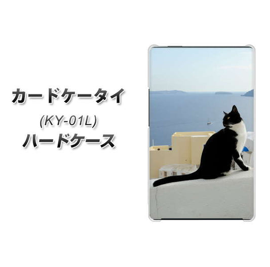 docomo カードケータイ KY-01 高画質仕上げ 背面印刷 ハードケース【VA805 ネコと地中海】