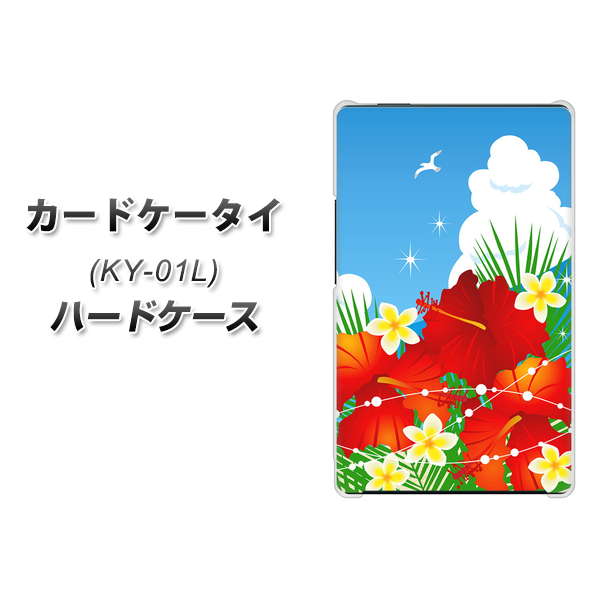 docomo カードケータイ KY-01 高画質仕上げ 背面印刷 ハードケース【VA821 ハイビスカスと青空】