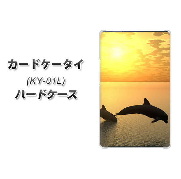 docomo カードケータイ KY-01 高画質仕上げ 背面印刷 ハードケース【VA845 夕暮れのドルフィン】
