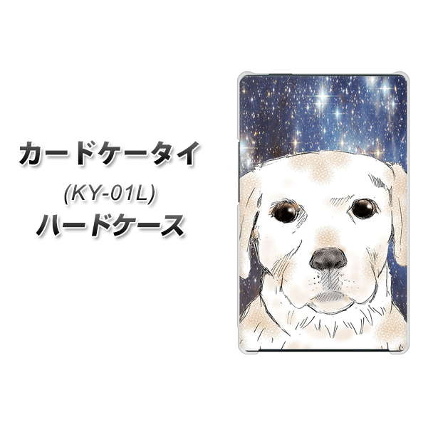 docomo カードケータイ KY-01 高画質仕上げ 背面印刷 ハードケース【YD820 ラブラドールレトリバー01】