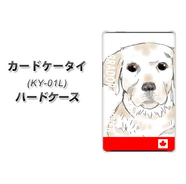 docomo カードケータイ KY-01 高画質仕上げ 背面印刷 ハードケース【YD821 ラブラドールレトリバー02】