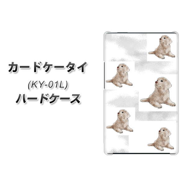 docomo カードケータイ KY-01 高画質仕上げ 背面印刷 ハードケース【YD823 ラブラドールレトリバー04】