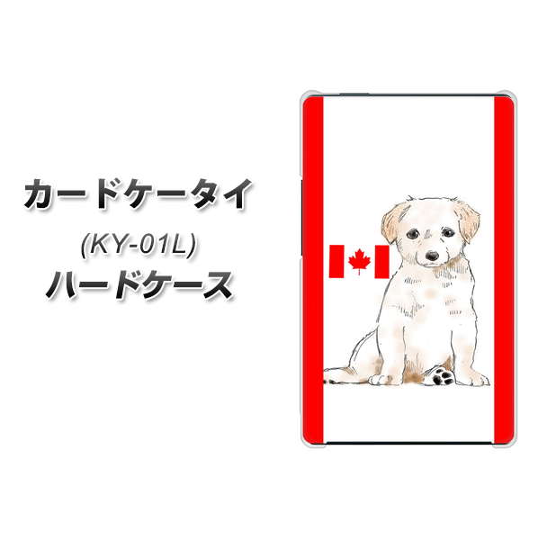 docomo カードケータイ KY-01 高画質仕上げ 背面印刷 ハードケース【YD824 ラブラドールレトリバー05】