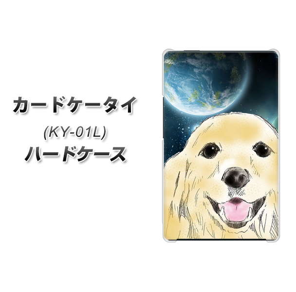 docomo カードケータイ KY-01 高画質仕上げ 背面印刷 ハードケース【YD826 ゴールデンレトリバー02】