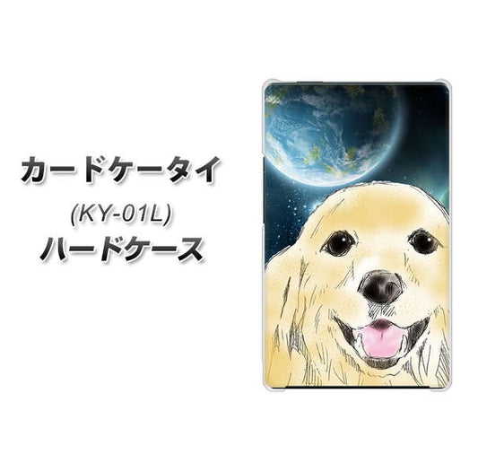 docomo カードケータイ KY-01 高画質仕上げ 背面印刷 ハードケース【YD826 ゴールデンレトリバー02】