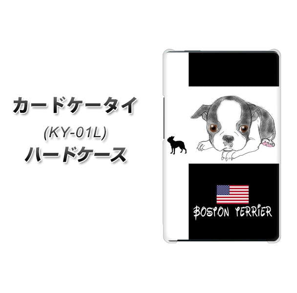 docomo カードケータイ KY-01 高画質仕上げ 背面印刷 ハードケース【YD854 ボストンテリア05】