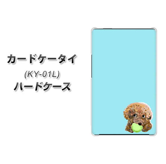 docomo カードケータイ KY-01 高画質仕上げ 背面印刷 ハードケース【YJ054 トイプードル＆ボール（ブルー）】