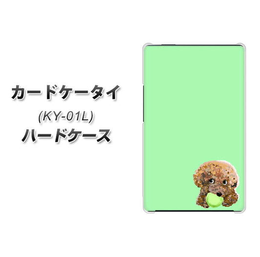 docomo カードケータイ KY-01 高画質仕上げ 背面印刷 ハードケース【YJ055 トイプードル&ボール(グリーン)】