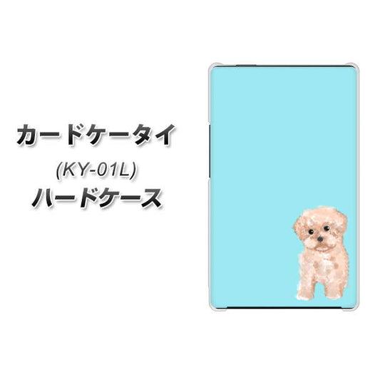 docomo カードケータイ KY-01 高画質仕上げ 背面印刷 ハードケース【YJ062 トイプードルアプリコット(ブルー)】