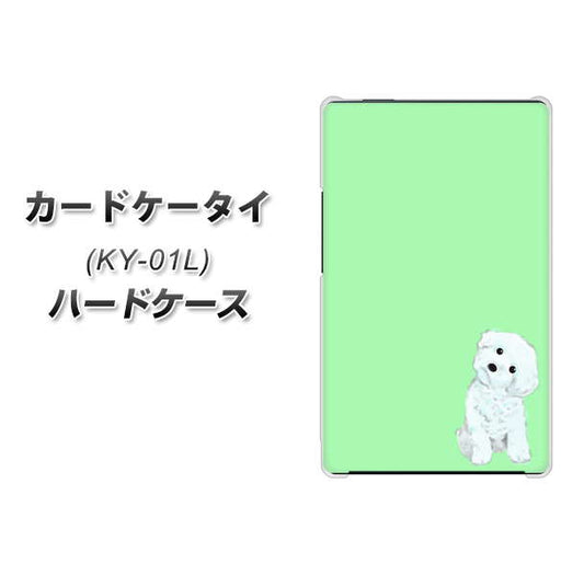docomo カードケータイ KY-01 高画質仕上げ 背面印刷 ハードケース【YJ071 トイプードルホワイト(グリーン)】