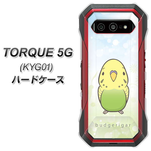 au トルク 5G KYG01 高画質仕上げ 背面印刷 ハードケース【SC838 セキセイインコ グリーン】