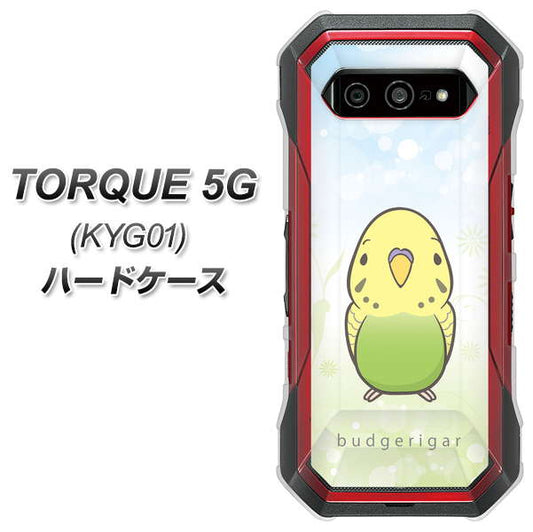 au トルク 5G KYG01 高画質仕上げ 背面印刷 ハードケース【SC838 セキセイインコ グリーン】