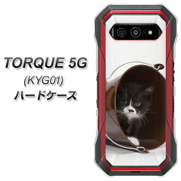 au トルク 5G KYG01 高画質仕上げ 背面印刷 ハードケース【VA800 ネコとバケツ】