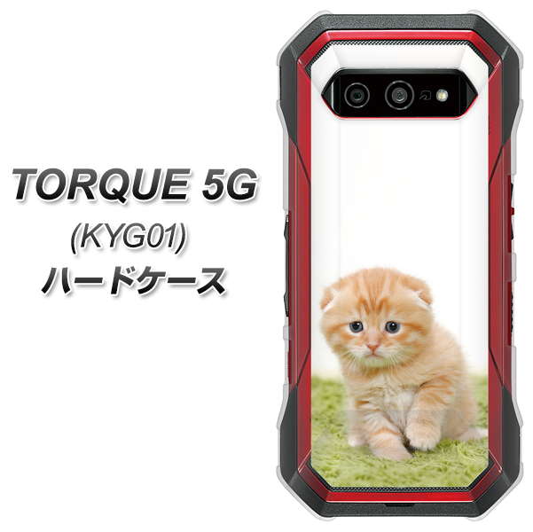 au トルク 5G KYG01 高画質仕上げ 背面印刷 ハードケース【VA802 ネコこっそり】