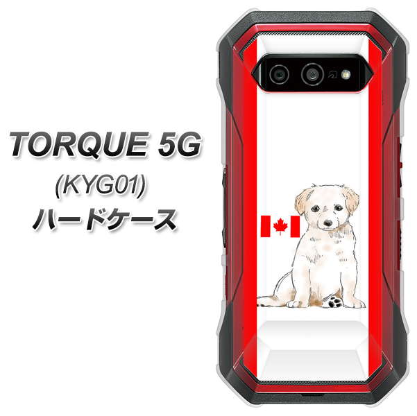 au トルク 5G KYG01 高画質仕上げ 背面印刷 ハードケース【YD824 ラブラドールレトリバー05】