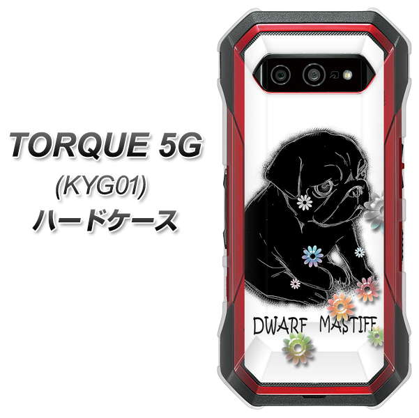 au トルク 5G KYG01 高画質仕上げ 背面印刷 ハードケース【YD859 パグ05】