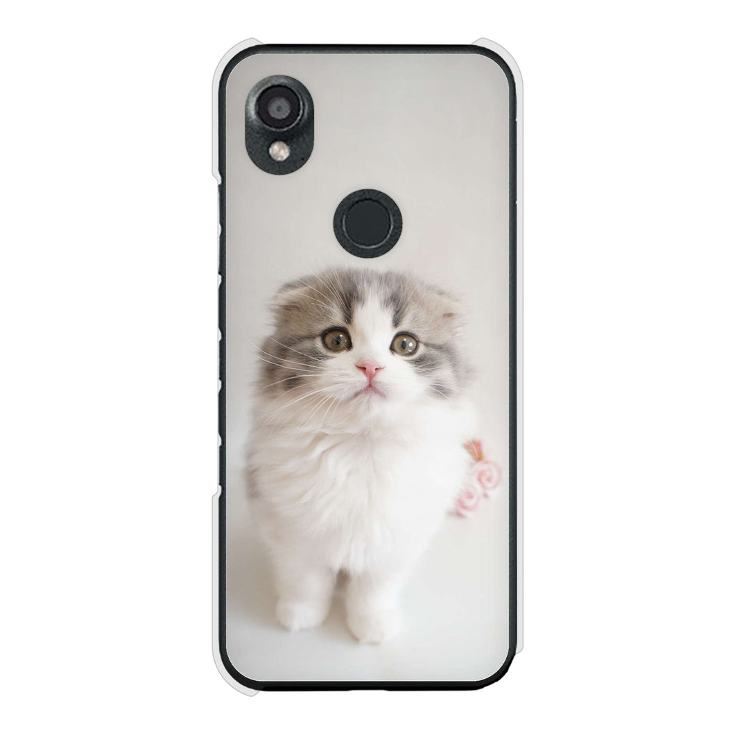 DIGNO SX3 KYG02 au 高画質仕上げ 背面印刷 ハードケース 【VA803 まっていますネコ】