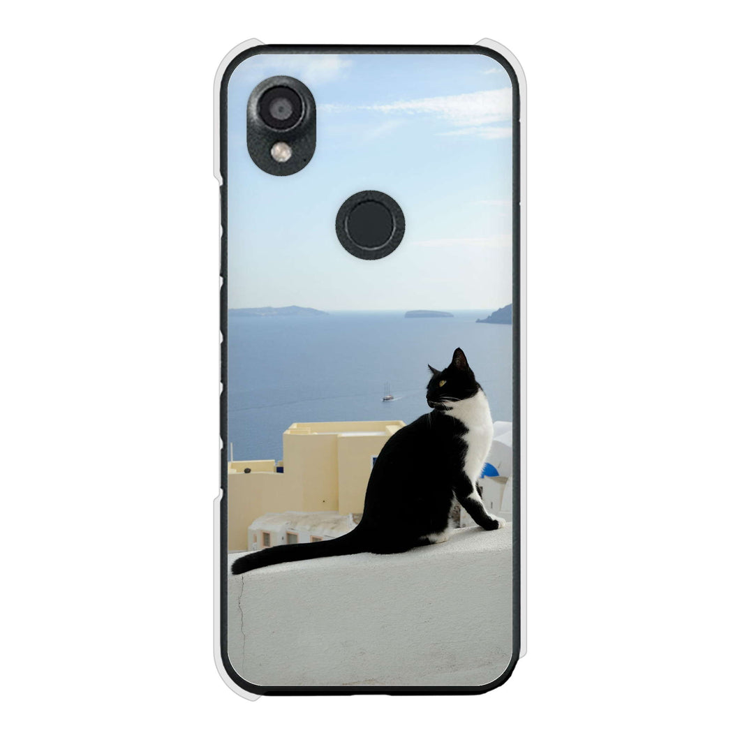 DIGNO SX3 KYG02 au 高画質仕上げ 背面印刷 ハードケース 【VA805 ネコと地中海】