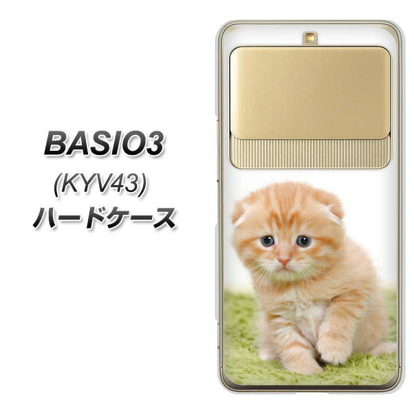 au ベイシオ3 KYV43 高画質仕上げ 背面印刷 ハードケース【VA802 ネコこっそり】