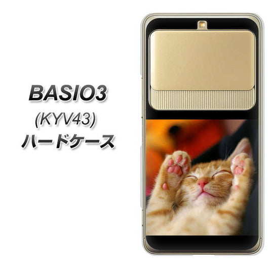 au ベイシオ3 KYV43 高画質仕上げ 背面印刷 ハードケース【VA804 爆睡するネコ】