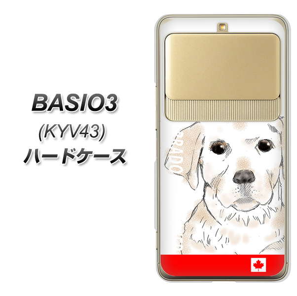 au ベイシオ3 KYV43 高画質仕上げ 背面印刷 ハードケース【YD821 ラブラドールレトリバー02】