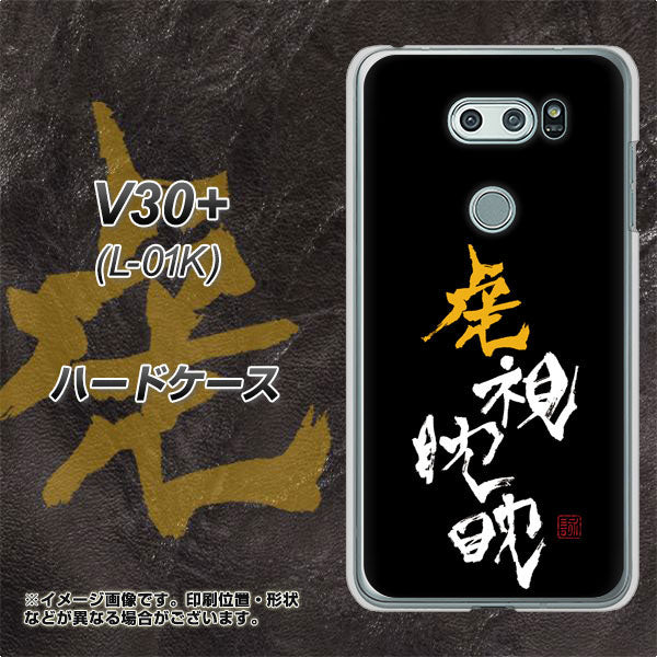 docomo V30+ L-01K 高画質仕上げ 背面印刷 ハードケース【OE803 虎視眈々】