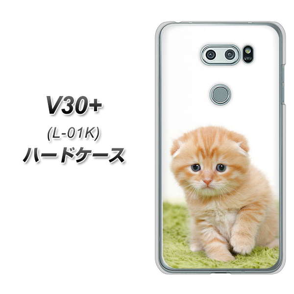 docomo V30+ L-01K 高画質仕上げ 背面印刷 ハードケース【VA802 ネコこっそり】