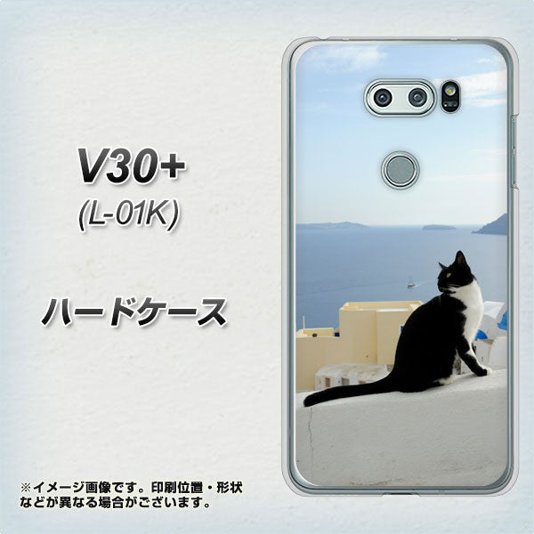 docomo V30+ L-01K 高画質仕上げ 背面印刷 ハードケース【VA805 ネコと地中海】