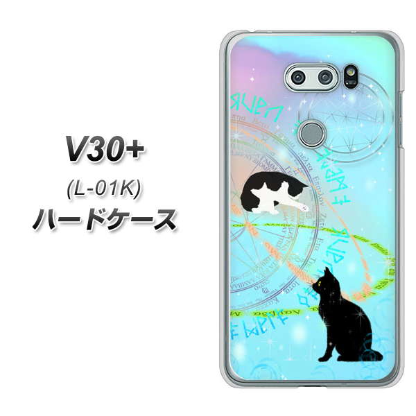 docomo V30+ L-01K 高画質仕上げ 背面印刷 ハードケース【YJ329 魔法陣猫 キラキラ パステル】