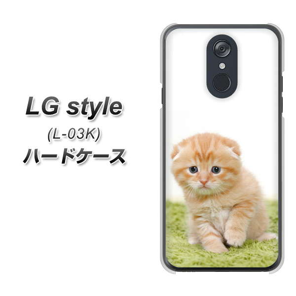 docomo LG style L-03K 高画質仕上げ 背面印刷 ハードケース【VA802 ネコこっそり】