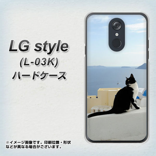 docomo LG style L-03K 高画質仕上げ 背面印刷 ハードケース【VA805 ネコと地中海】
