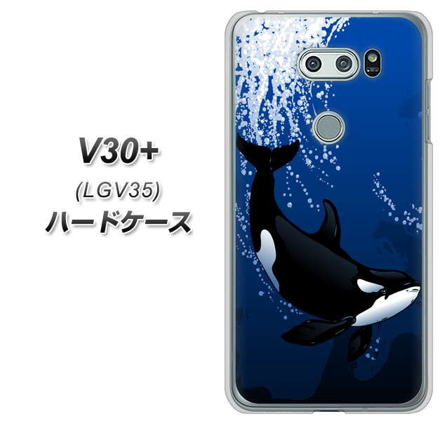 au イサイ V30+ LGV35 高画質仕上げ 背面印刷 ハードケース【423 シャチ】