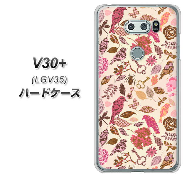 au イサイ V30+ LGV35 高画質仕上げ 背面印刷 ハードケース【640 おしゃれな小鳥】