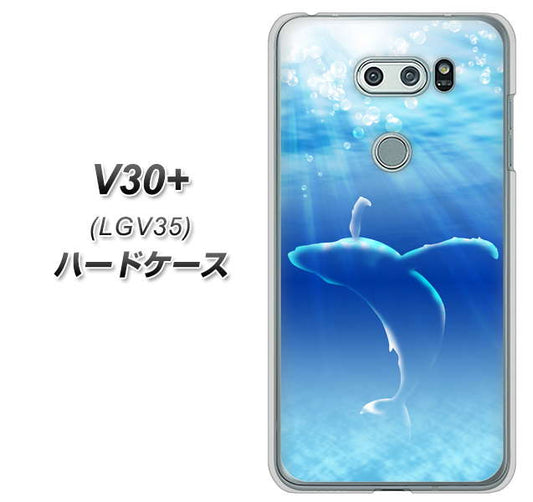 au イサイ V30+ LGV35 高画質仕上げ 背面印刷 ハードケース【1047 海の守り神くじら】