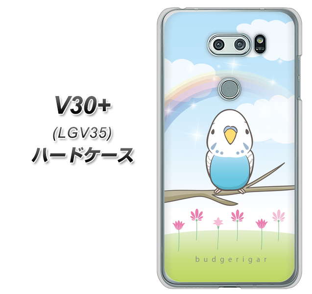 au イサイ V30+ LGV35 高画質仕上げ 背面印刷 ハードケース【SC839 セキセイインコ ブルー】