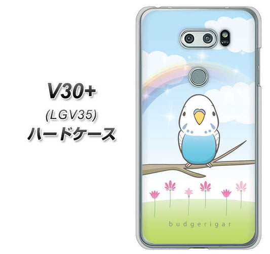 au イサイ V30+ LGV35 高画質仕上げ 背面印刷 ハードケース【SC839 セキセイインコ ブルー】