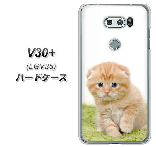 au イサイ V30+ LGV35 高画質仕上げ 背面印刷 ハードケース【VA802 ネコこっそり】