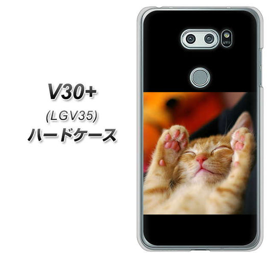 au イサイ V30+ LGV35 高画質仕上げ 背面印刷 ハードケース【VA804 爆睡するネコ】