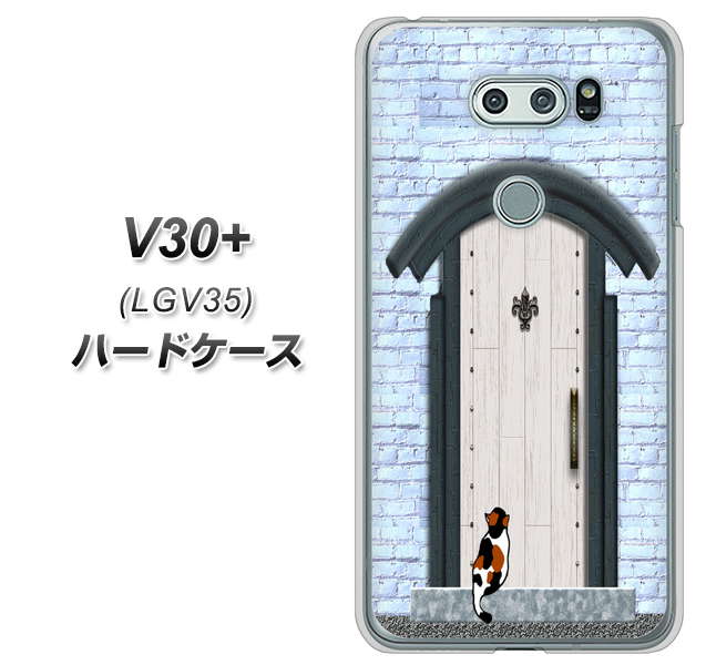 au イサイ V30+ LGV35 高画質仕上げ 背面印刷 ハードケース【YA951 石ドア01】