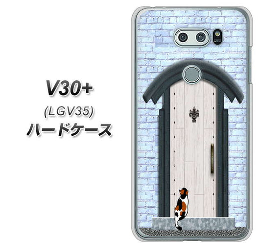 au イサイ V30+ LGV35 高画質仕上げ 背面印刷 ハードケース【YA951 石ドア01】