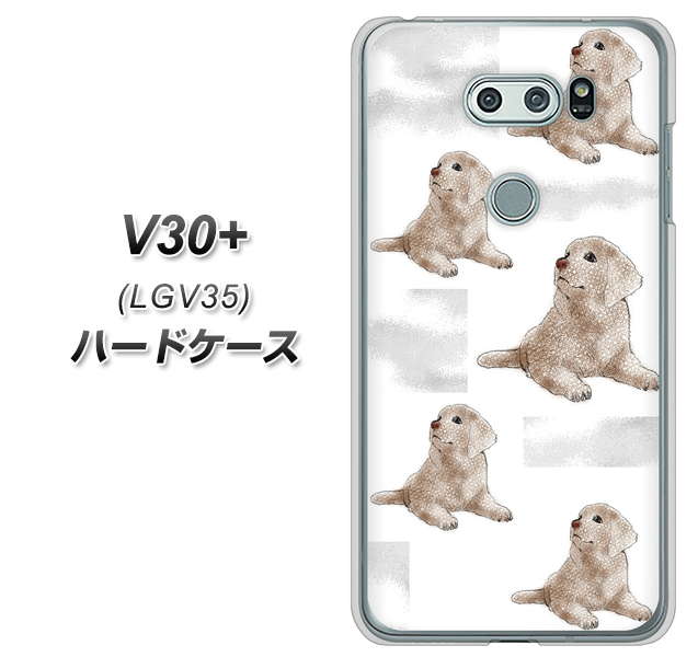 au イサイ V30+ LGV35 高画質仕上げ 背面印刷 ハードケース【YD823 ラブラドールレトリバー04】