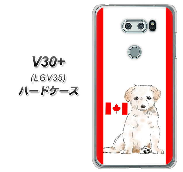 au イサイ V30+ LGV35 高画質仕上げ 背面印刷 ハードケース【YD824 ラブラドールレトリバー05】