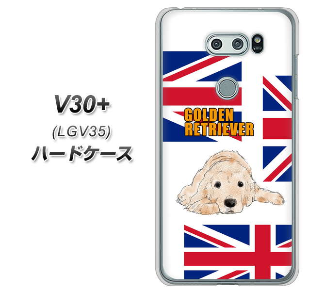 au イサイ V30+ LGV35 高画質仕上げ 背面印刷 ハードケース【YD825 ゴールデンレトリバー01】