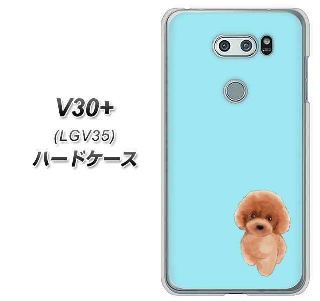 au イサイ V30+ LGV35 高画質仕上げ 背面印刷 ハードケース【YJ050 トイプードルレッド(ブルー)】