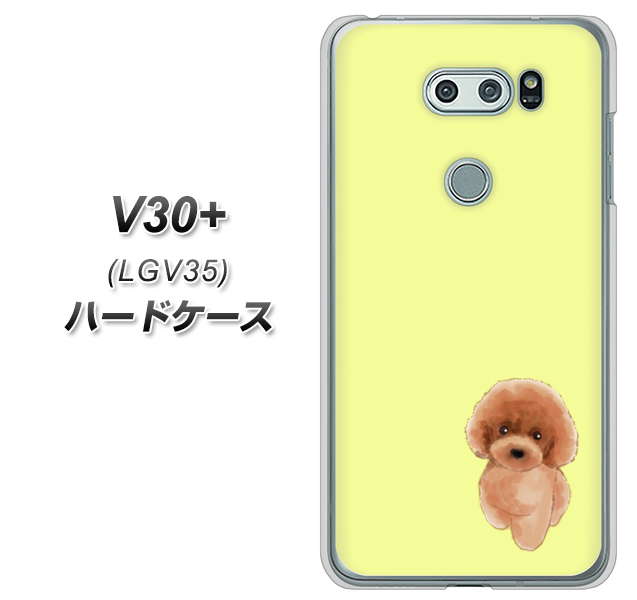 au イサイ V30+ LGV35 高画質仕上げ 背面印刷 ハードケース【YJ051 トイプードルレッド(イエロー)】