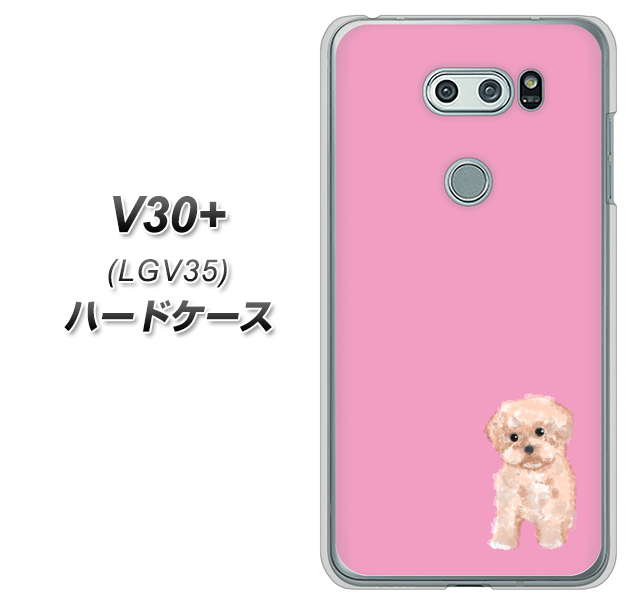 au イサイ V30+ LGV35 高画質仕上げ 背面印刷 ハードケース【YJ061 トイプードルアプリコット(ピンク)】