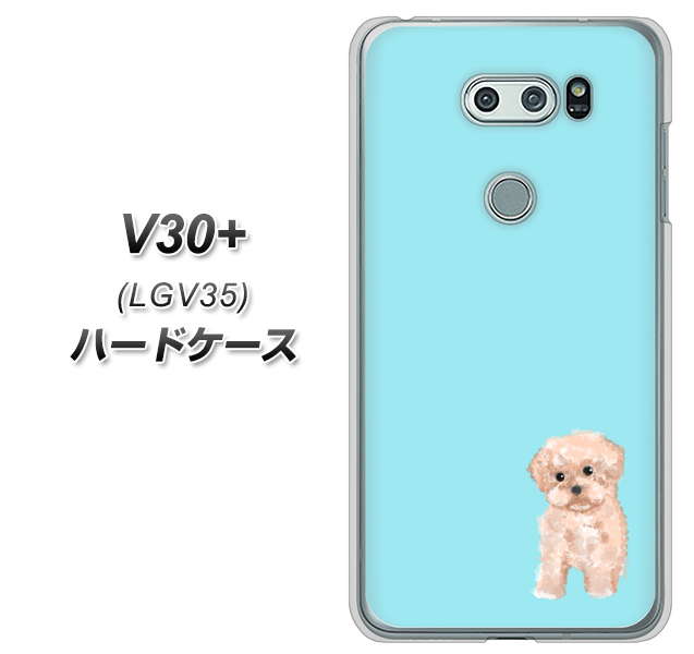 au イサイ V30+ LGV35 高画質仕上げ 背面印刷 ハードケース【YJ062 トイプードルアプリコット(ブルー)】