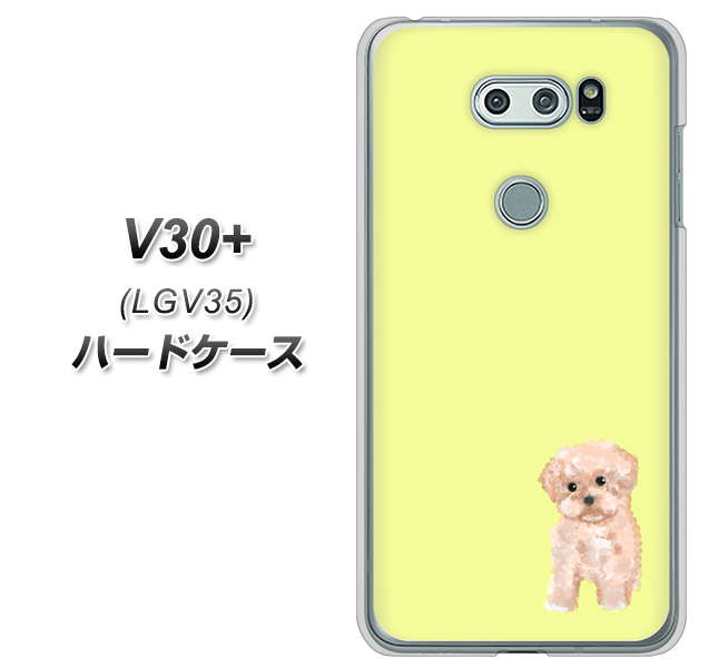au イサイ V30+ LGV35 高画質仕上げ 背面印刷 ハードケース【YJ064 トイプードルアプリコット(イエロー)】